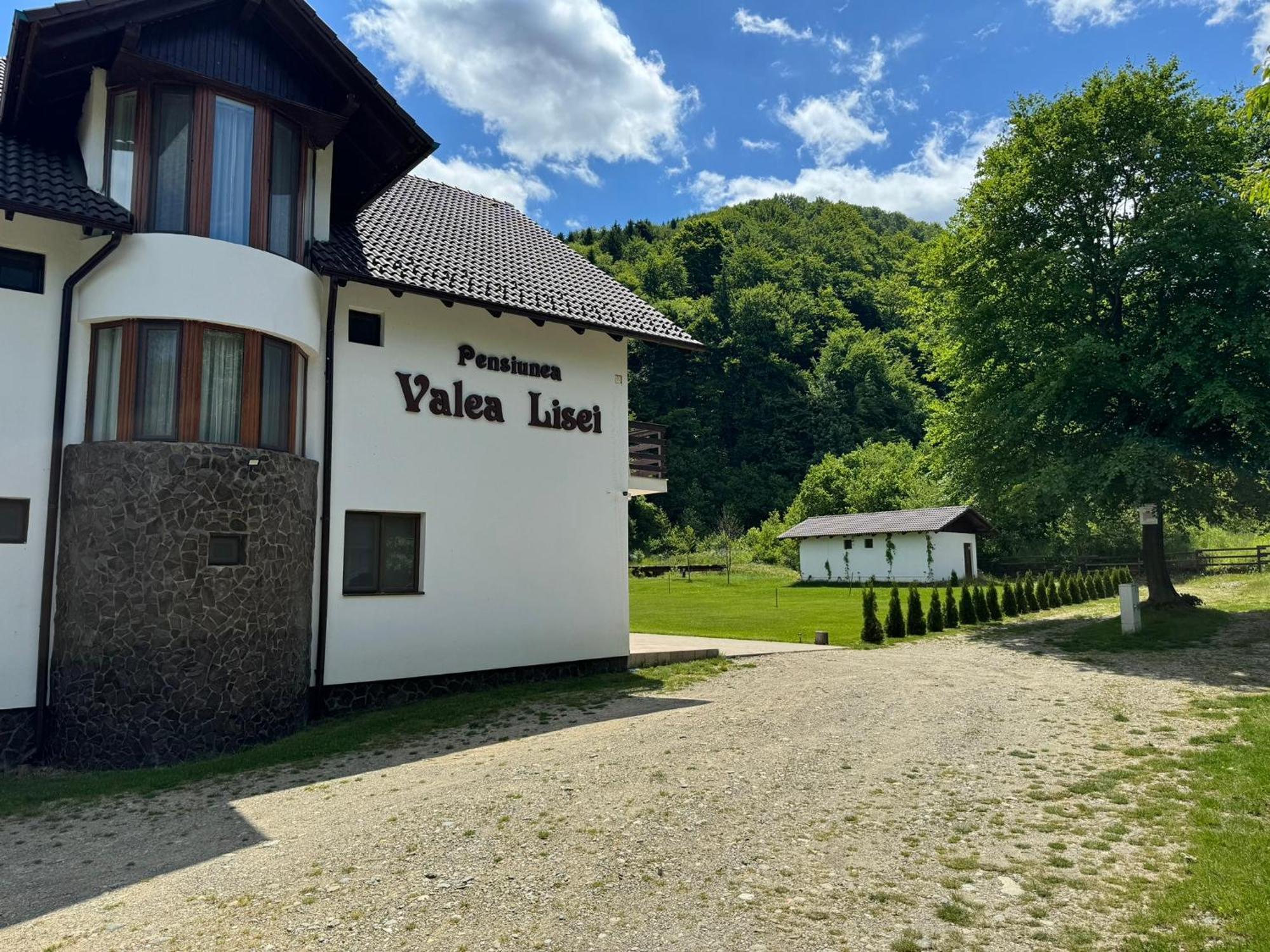 Pensiunea Valea Lisei Lisa Экстерьер фото
